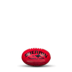 SHERRIN OVER THE DOOR SYSTEM WITH FOOTBALL
